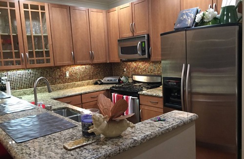 Cardozo Condo | Cozy U St. Condo-Steps to U & 14