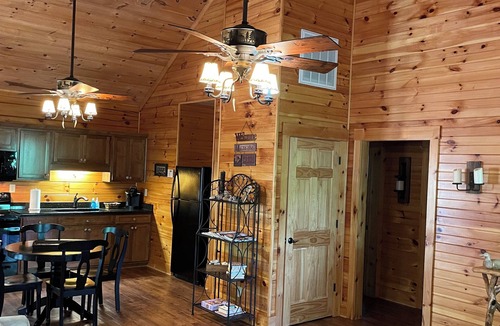 Hot Springs Cabin | Cozy mountain cabin 15 minutes from historic downtown, 3 miles from ORV PARK