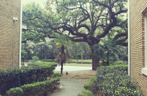 Hannon Park Condo | Cozy Vintage Studio Close To Downtown