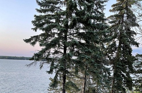 Prince Edward Cottage | Cozy waterfront cabin with incredible views