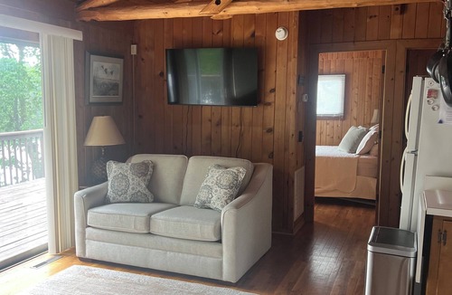 Huddleston Cabin | Cozy Waterfront Cottage - No Wake Cove, Great Views, New Private Floating Dock
