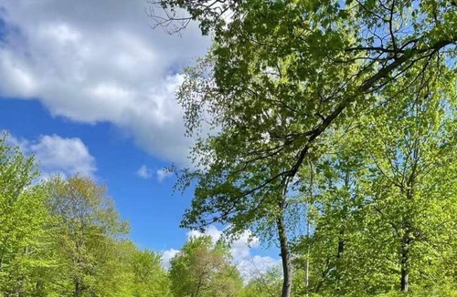 Rama Cottage | Cozy Waterfront Cottage - Washago, Ramara