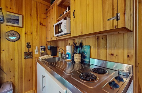 Naples Cabin | Cozy wooded cabin with lake access, firepit & kitchenette