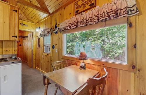 Naples Cabin | Cozy wooded cabin with lake access, firepit & kitchenette
