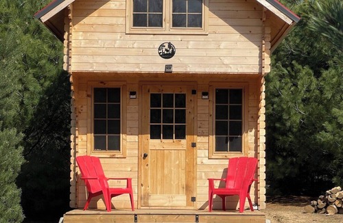 Langton Apartment | Cozy Woodland Bunkie + Outdoor Shower + WiFi