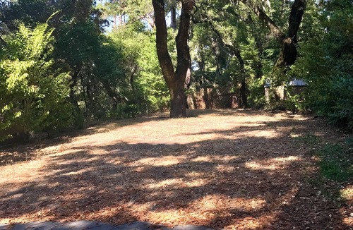 Woodside House | Cozy Woodside Cottage