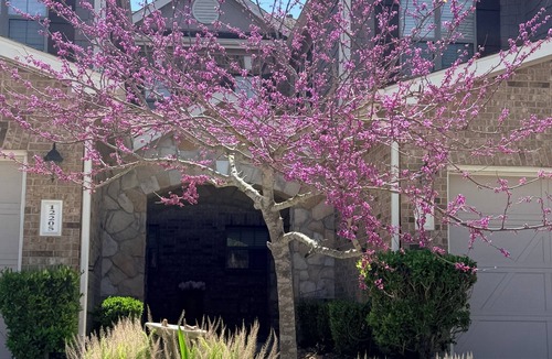 Tomball House | Cozy3-bedroom townhome Sleeps 6-in charming Tomball