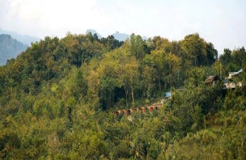 Patuk Hotel | Cozzy Bitu Garden