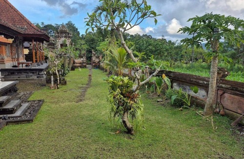 Selat Villa | Cozzy Villa Taman near Sidemen Bali