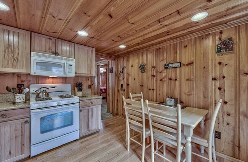 Bijou Pines Cabin | Craig's Cozy Cabin: Hot Tub, BBQ, Pets