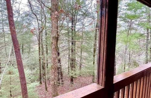 Tellico Plains Cabin | Crazy Bear, Studio, King Bed, Kitchen, Hot Tub! by RedAwning