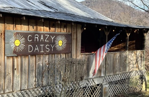 Canton Cottage | Crazy Daisy - Fireplace, Near Blue Ridge Pkwy