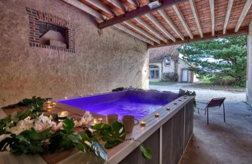 Aubigny-sur-Nere Villa | Crazy Villa Le Petit Belair 18 - Heated pool - Foot - 2h Paris - 30p