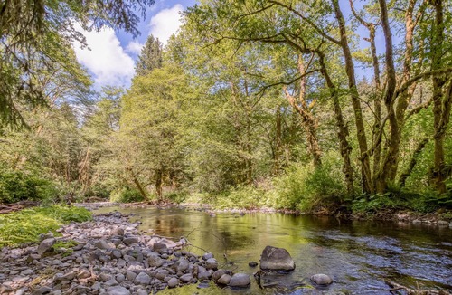 Neskowin House | Creek Haven