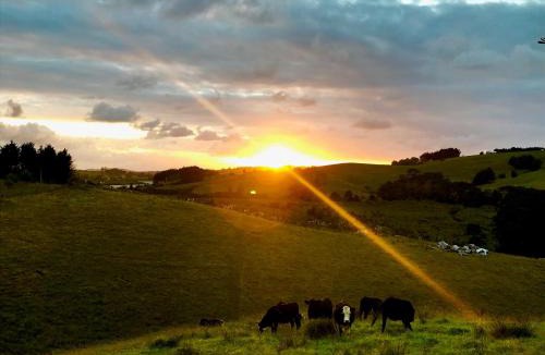 Warkworth Apartment | Creek Retreat