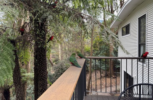 Warburton Cabin | Creekside Cabin - Warburton