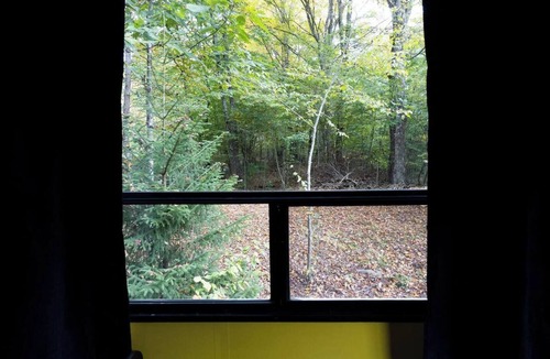 Dailey House | Creekside Camper & Mountain Hiking!