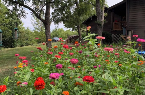 Drexel Cabin | Creekside Country Estate, Lower Level Walk-Out, Stars, Trails & Fire Pit