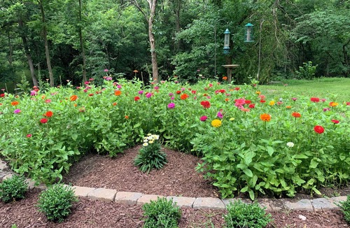 Drexel Cabin | Creekside Country Estate, Lower Level Walk-Out, Stars, Trails & Fire Pit