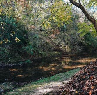 Ellijay House | Creekside Getaway - Wineries, Orchards, & Hiking