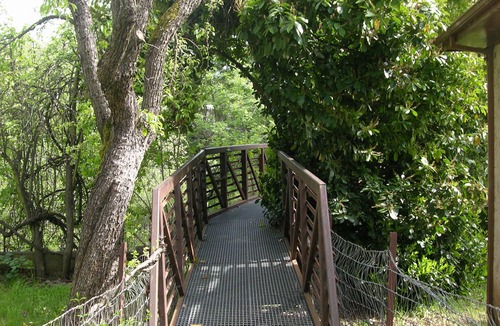 Sutter Creek House | Creekside Home in Historic Sutter Creek