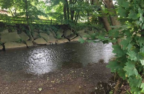 Otego Apartment | Creekside Loft + Allstar Deluxe