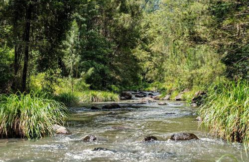 Lamington House | Creekside Rainforest Retreat