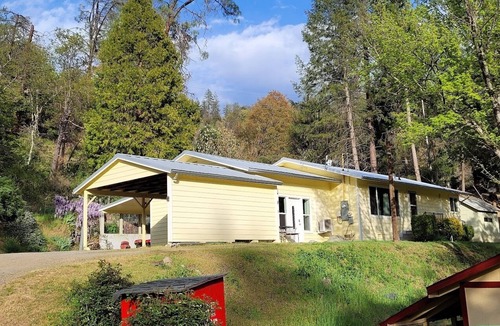 Big Bar Apartment | Creekside Studio - 1 bed/1 bath