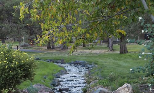 Redmond House | Creekside