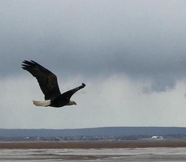 Maitland Bed & Breakfast | Cresthaven By the Sea