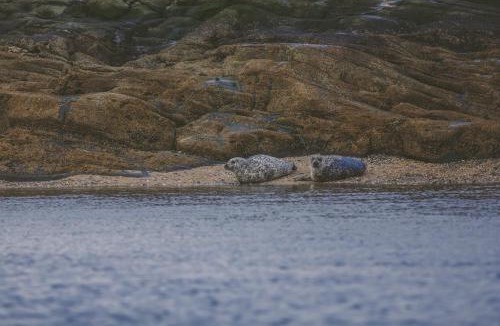 Tighnabruaich House | Crispie House