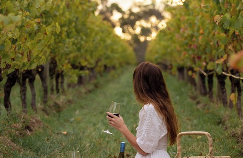 Dromana Villa | Crittenden Lakeside Villas