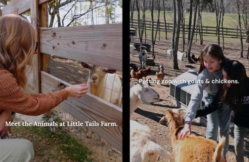 Bryant House | critter corner at Grant Summit Cabins