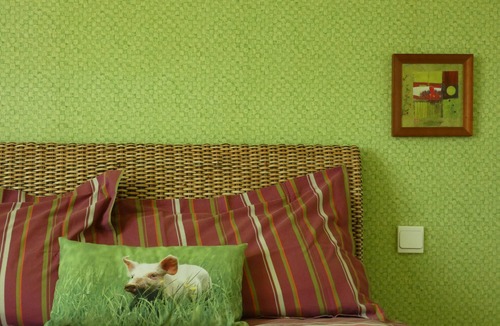 Cellieu Bed & Breakfast | Croix Blanche