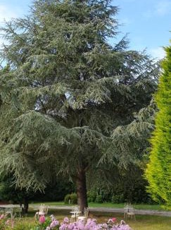 Le Faouet Bed & Breakfast | Crown Roads