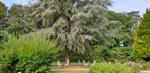 Le Faouet Bed & Breakfast | Crown Roads