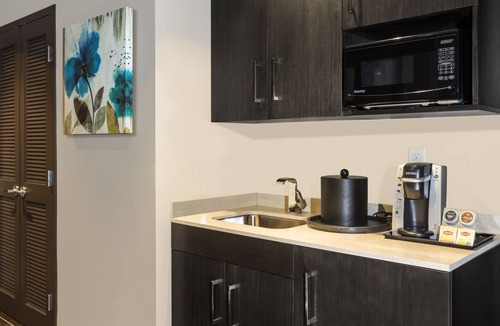 Montgomery County Hotel | Crowne Plaza SHENANDOAH - WOODLANDS AREA by IHG