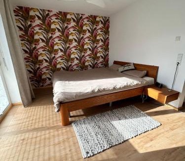 Eberbach House | Cube - Ferienhaus mit Garten und Terrasse in Eberbach