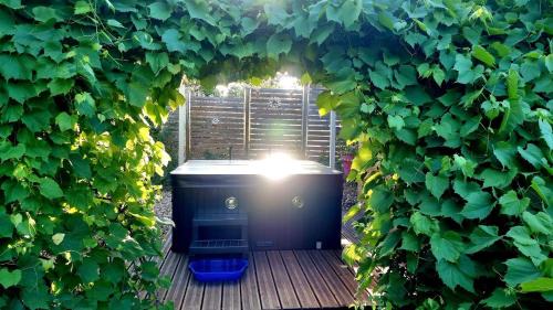 Bitche House | Cube Nature