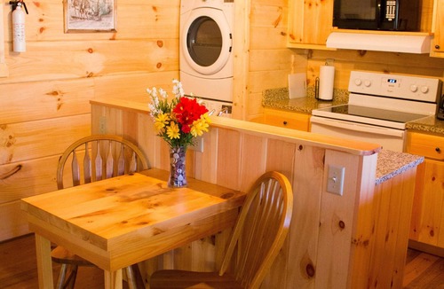 Candler Cabin | Cuddle Up and Relax - Hot Tub, Fireplace, View