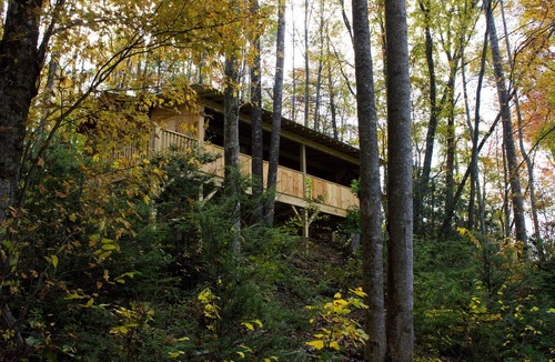 Candler Cabin | Cuddle Up and Relax - Hot Tub, Fireplace, View