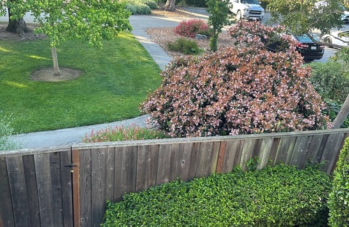 Burlingame House | Cul de sac, gate access to park, 2 minute walk to downtown
