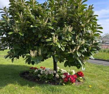 Beith House | Cunninghame 1