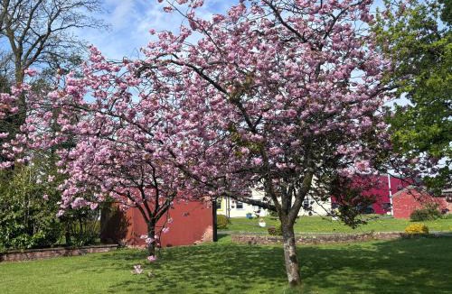 Beith House | Cunninghame 2