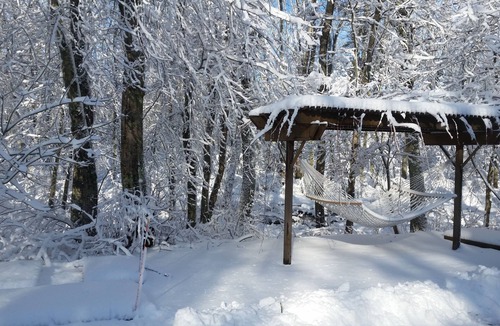 Swansea Cottage | currently not booking via vrbo