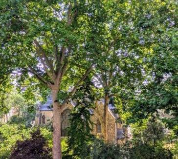 Courtfield Hotel | Curzon House Hotel