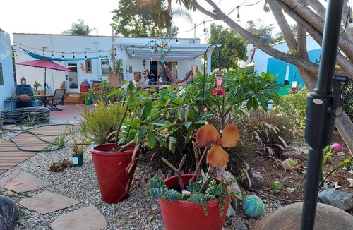 South Wrigley House | Custom designed bedroom & bath. Easy metro to SoFi & crypto/sm dog ok w fee