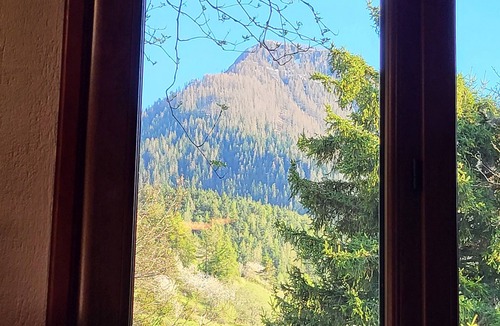 Valdeblore Ski Chalet | Cute chalet surrounded by trees