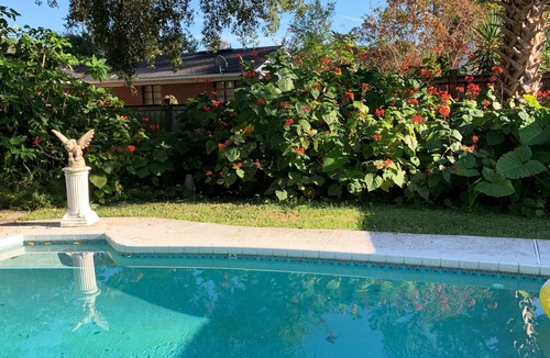 Avondale Apartment | Cute Cottage in Historic District with pool