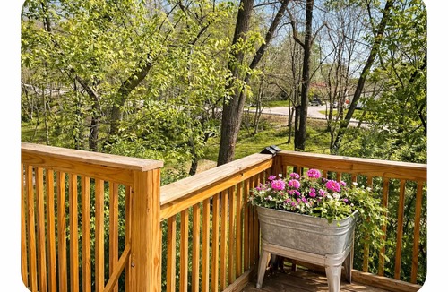 Madison Cottage | Cute Cottage/Pet Friendly/Clean/Trails/Nature and Historic Madison